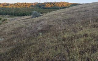 Vânzare, teren pentru construcție, 6 ari, com. Bācioi, sat Brăila - Poză 3