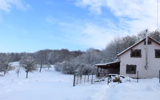 Proprietate Unică în Natură | Teren Mare + Intimitate Totală - Poză 62