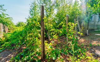 SE VINDE CASĂ DE VACANȚĂ ÎN TRUȘENI | TEREN 7,34 ARI - Poză 4