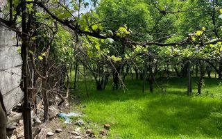 Casă de vânzare 2 camere | Rășinari, Sibiu | 55 mp utili, teren 259 mp - Poză 6