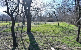 Case de vânzare | 2.128 mp teren | Filipeștii de Pădure | Comision 0% - Poză 18