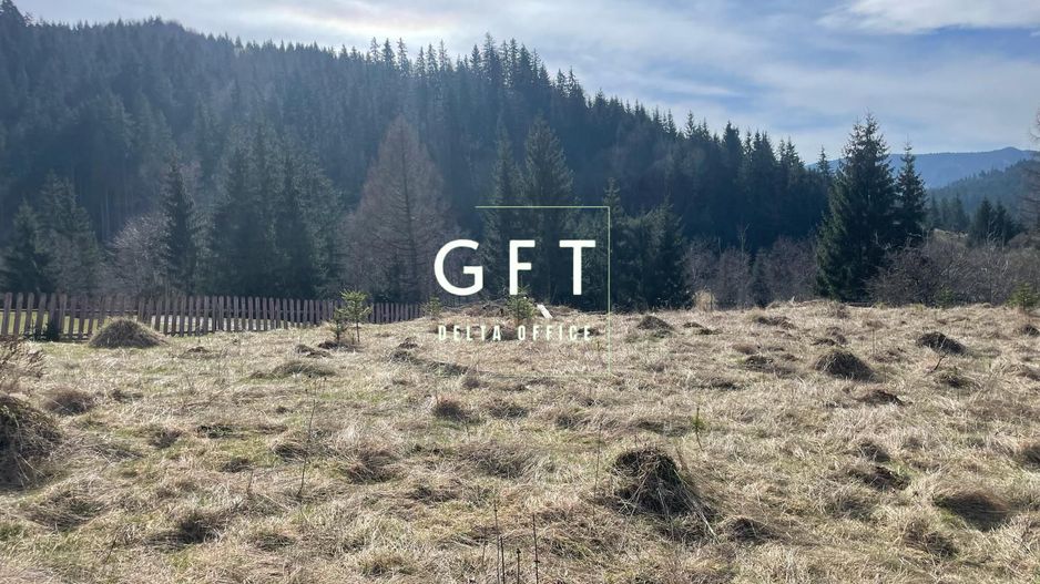 Teren intravilan parcelabil- 17703 mp,Colibita - Poză 3