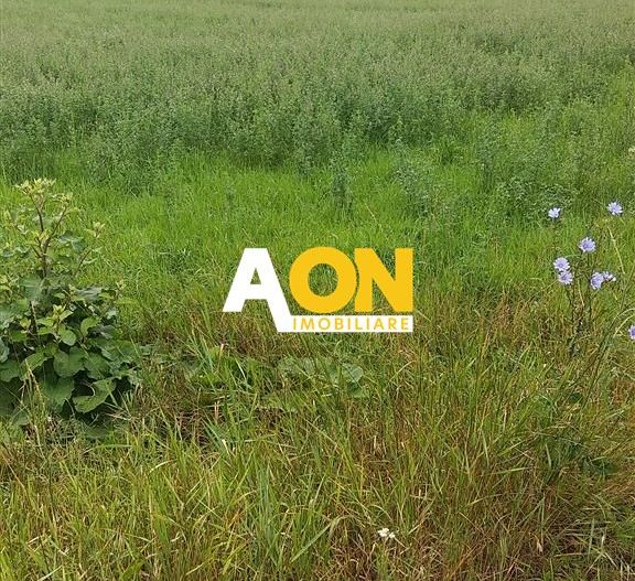 Teren pentru P+2 Alba-Micesti 3636 mp - Poză 2