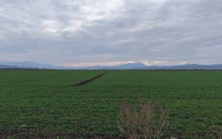 Teren de vânzare – 20.000mp – Ghimbav, lângă Parcul Industrial - Poză 3