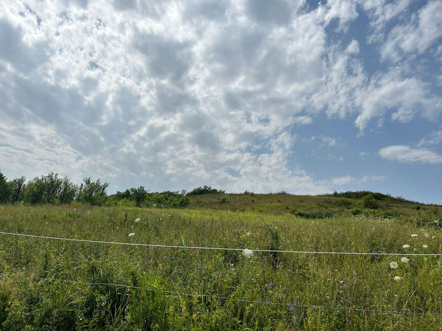 Teren intravilan , localitatea Rascruci ( Cluj) - Poză 2