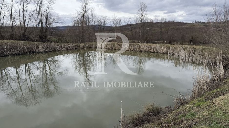 Pescărie cu teren intravilan | Drăgești | Bihor - Poză 3