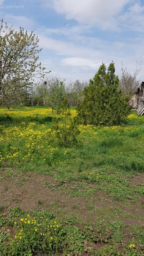 Teren 2.600 mp, utilități, Str. Merișor – Giurgiu - Poză 10