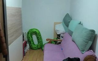 Apartament  2 camere  Sagului etaj 1 - Poză 2