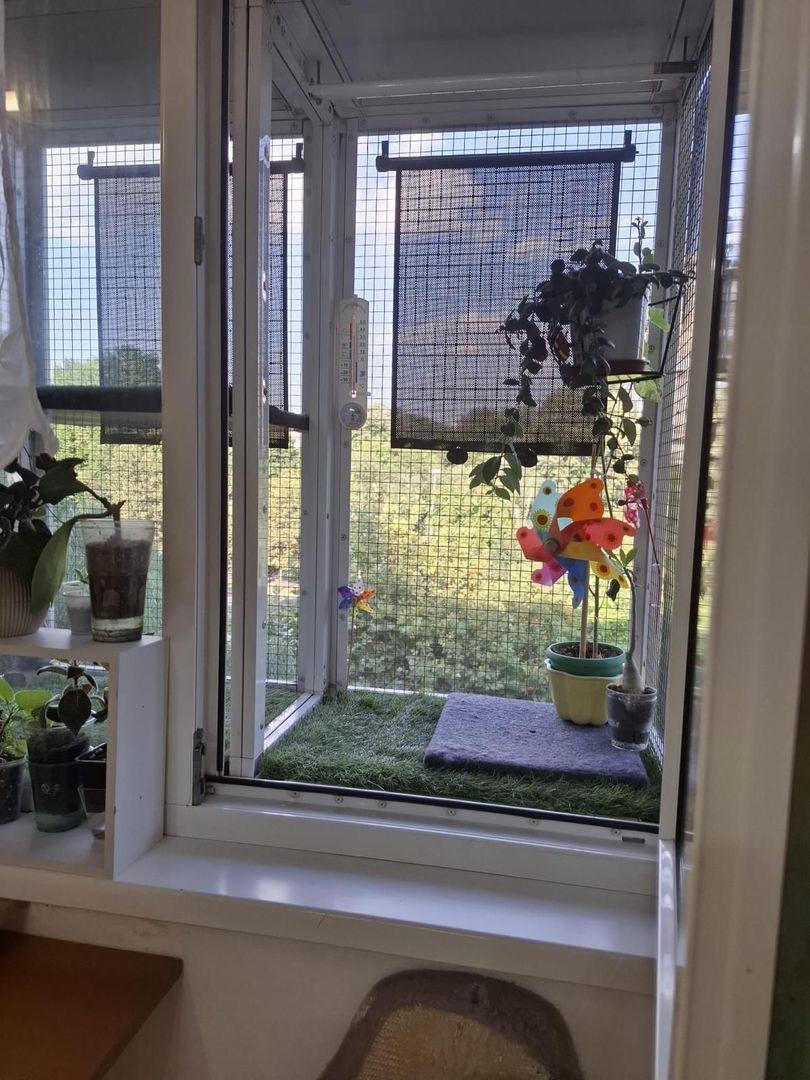 Apartament cu trei camere, Brancoveanu-Luica, 93.0000€ negociabil - Poză 3