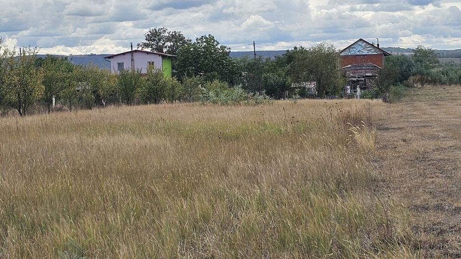 Teren Intravilan Sacadat 2000 mp - Poză 7