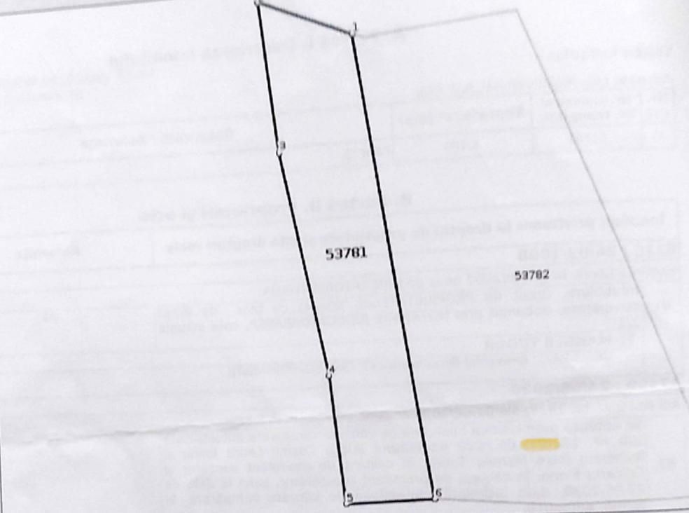 Teren Intravilan | Pietroasa Moldovenesti | Agropensiune - Poză 2