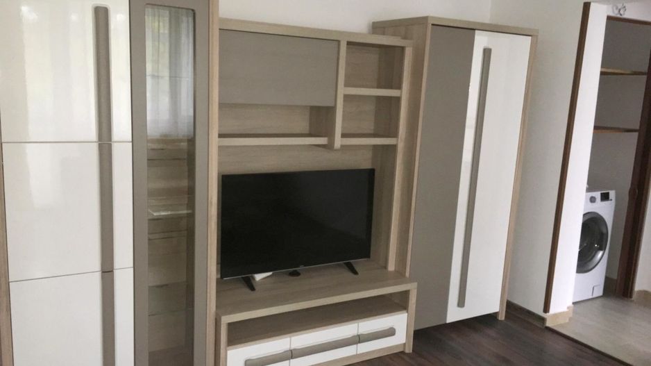 Apartament cu 2 camere,  etaj intermediar - Tiglina 1, Penny - Poză 2
