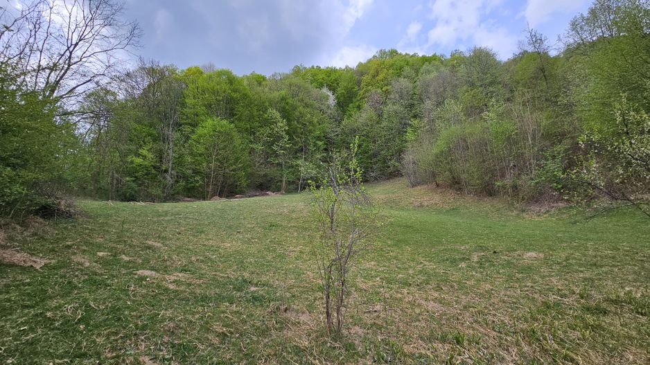 Teren intravilan 1454 mp la marginea padurii zona locuita de case! - Poză 5