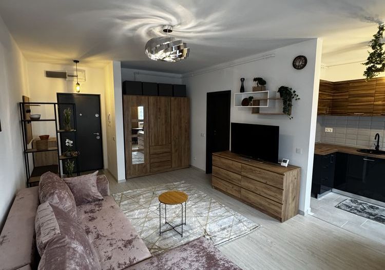 Studio Modern Panorama Lacul Morii - Poză 1