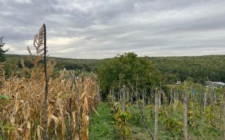 De vânzare casă bătrânească cu anexă in Oneaga - Poză 6