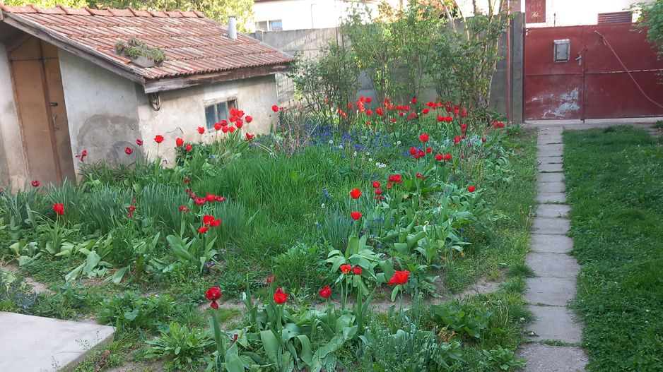 Ag BRASADAS vinde casa cu 2 cam teren 4.86 ari în zona SEMICENTRALA. - Poză 2