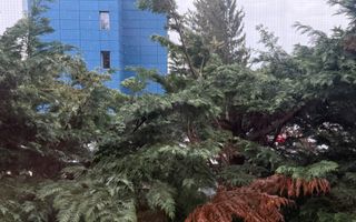 Garsonieră 24 mp - renovată, mobilată și utilată complet - Campina - Poză 12