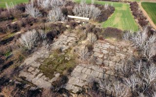 Ferma si livada de meri in judetul Ilfov - Poză 3