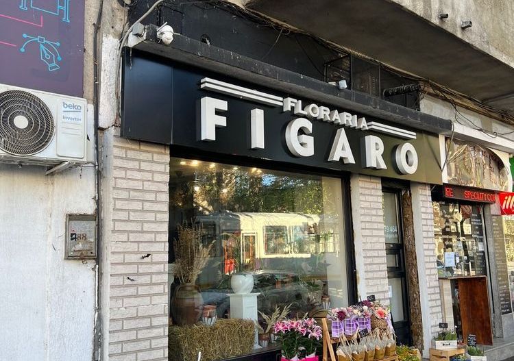 Spatiu comercial Pache Protopopescu - Poză 1