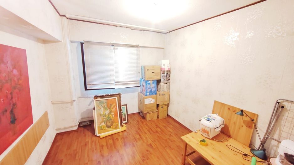 Domenii Ion Mihalache stradal super pret - Poză 9