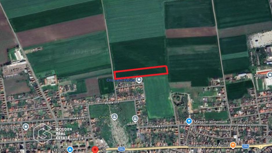 Teren extravilan, 2 hectare, oras Pecica - Poză 1