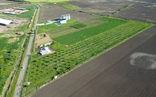 Livadă de nuci și pruni 2.4ha în Variașul Mare - Poză 16