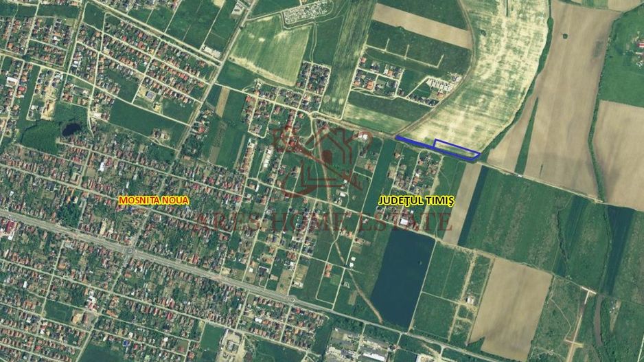 Teren parcelabil cu toate utilitatile 7.257 mp Moșnița Nouă – 20 €/mp - Poză 2
