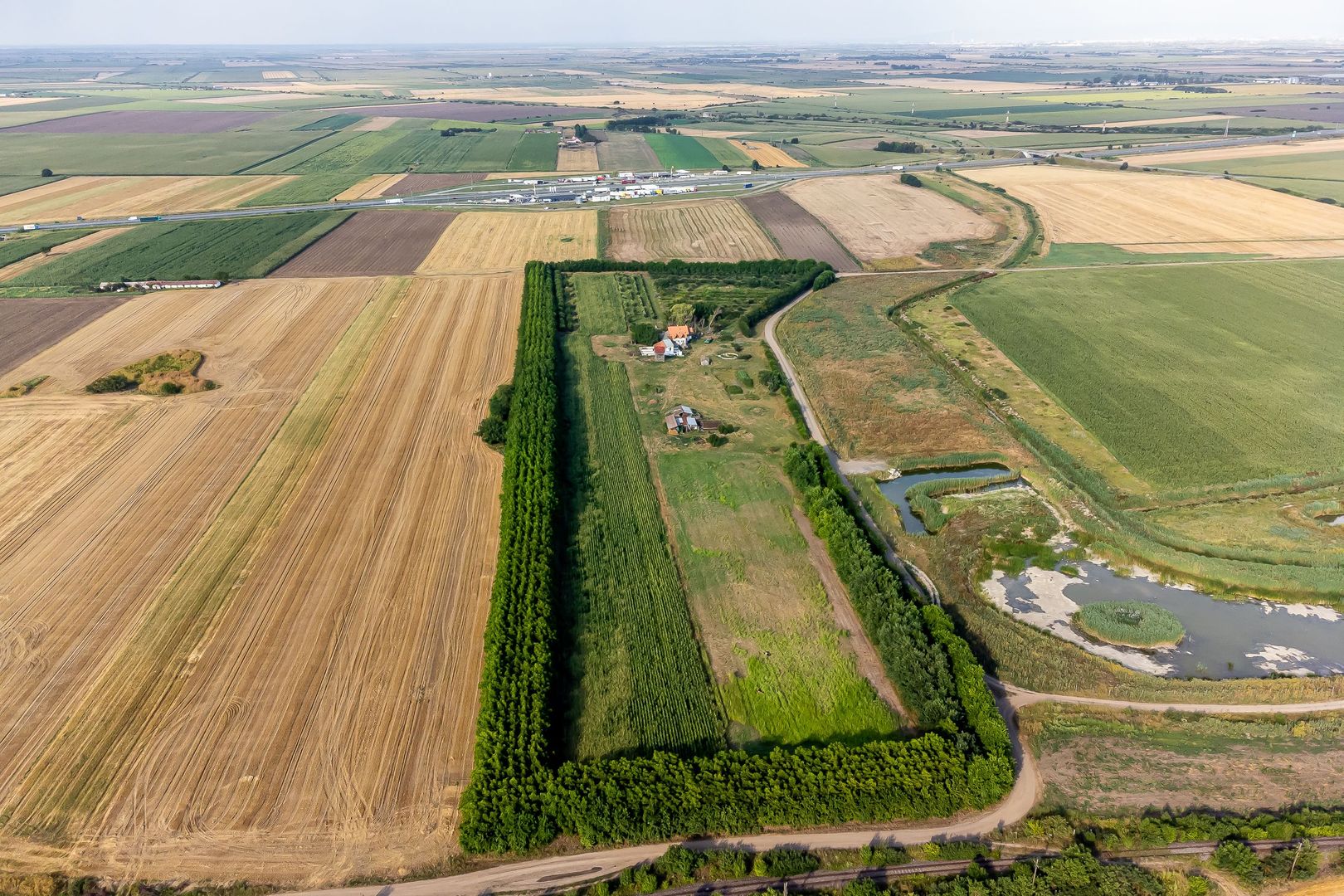 Preț nou! De vânzare teren 7.6 Ha în Pecica - Poză 5