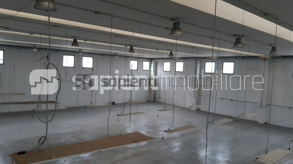 Sapient | Hala (depozit) situata in comuna Bors - Poză 6