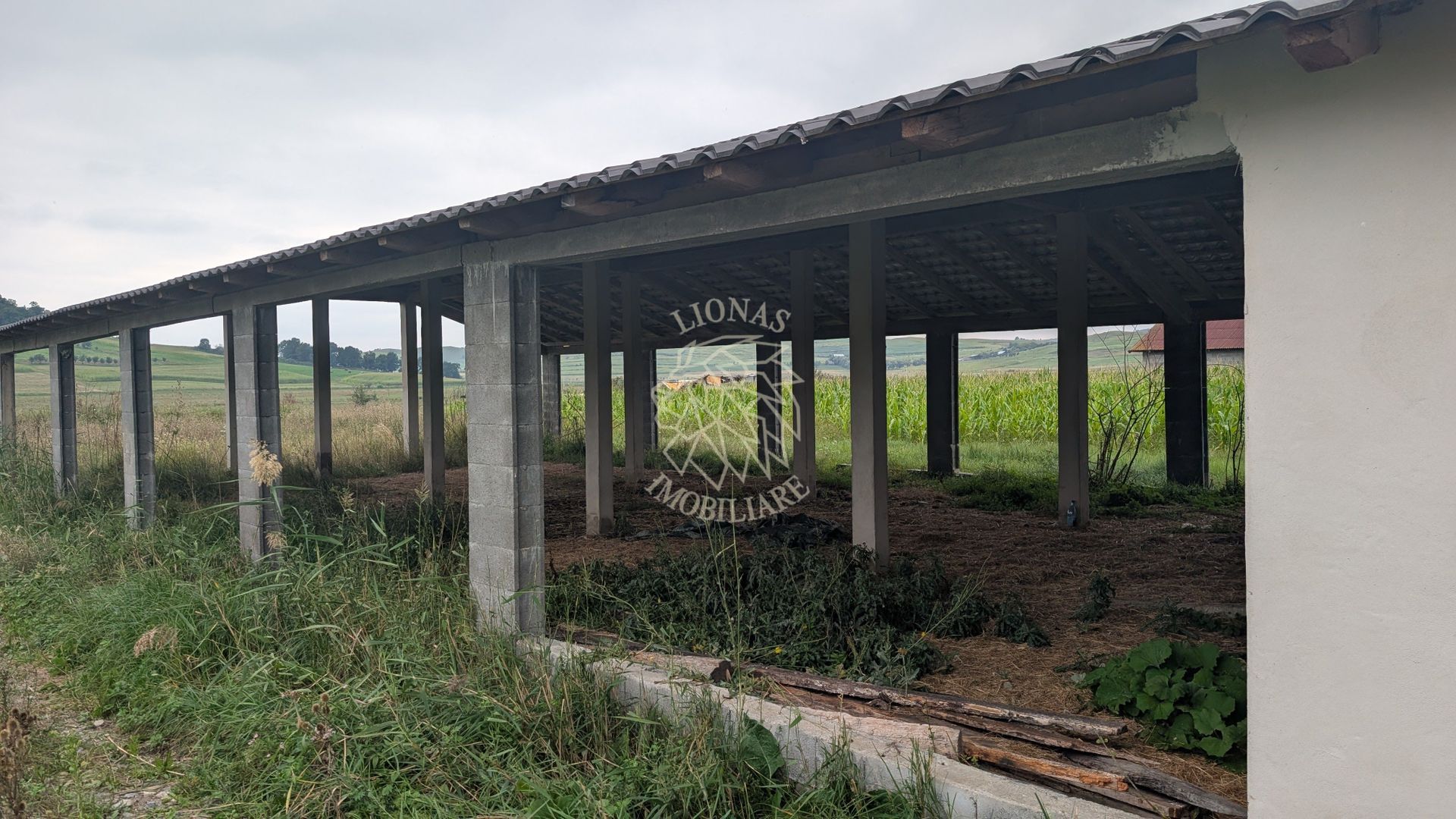 Hala Noua 400 mp-teren 5000 mp-ideal ferma, productie-Cepari - Poză 2