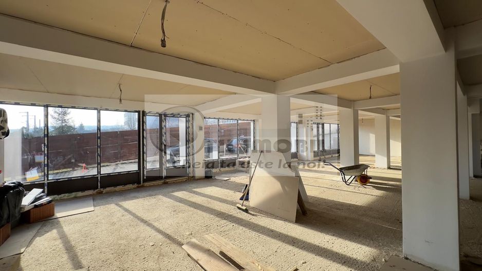Spatiu comercial prin destinatie - 176mp - bucium - visan - Poză 2