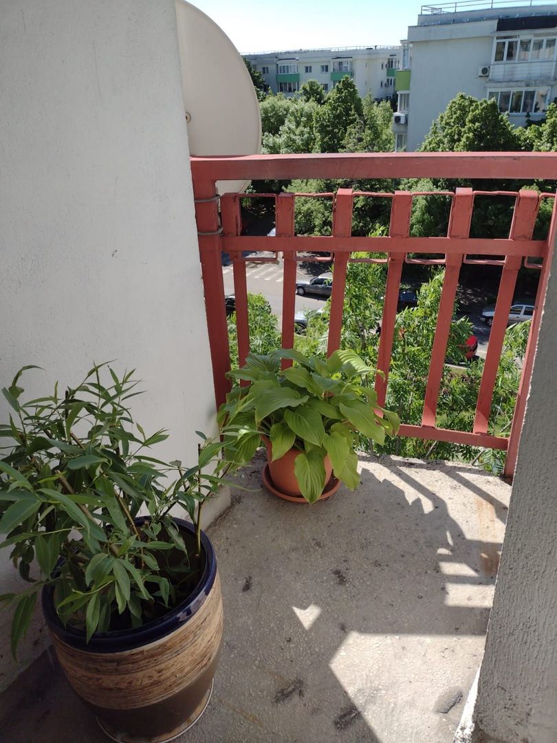 Garsoniera Aviatiei | Herastrau - Poză 5