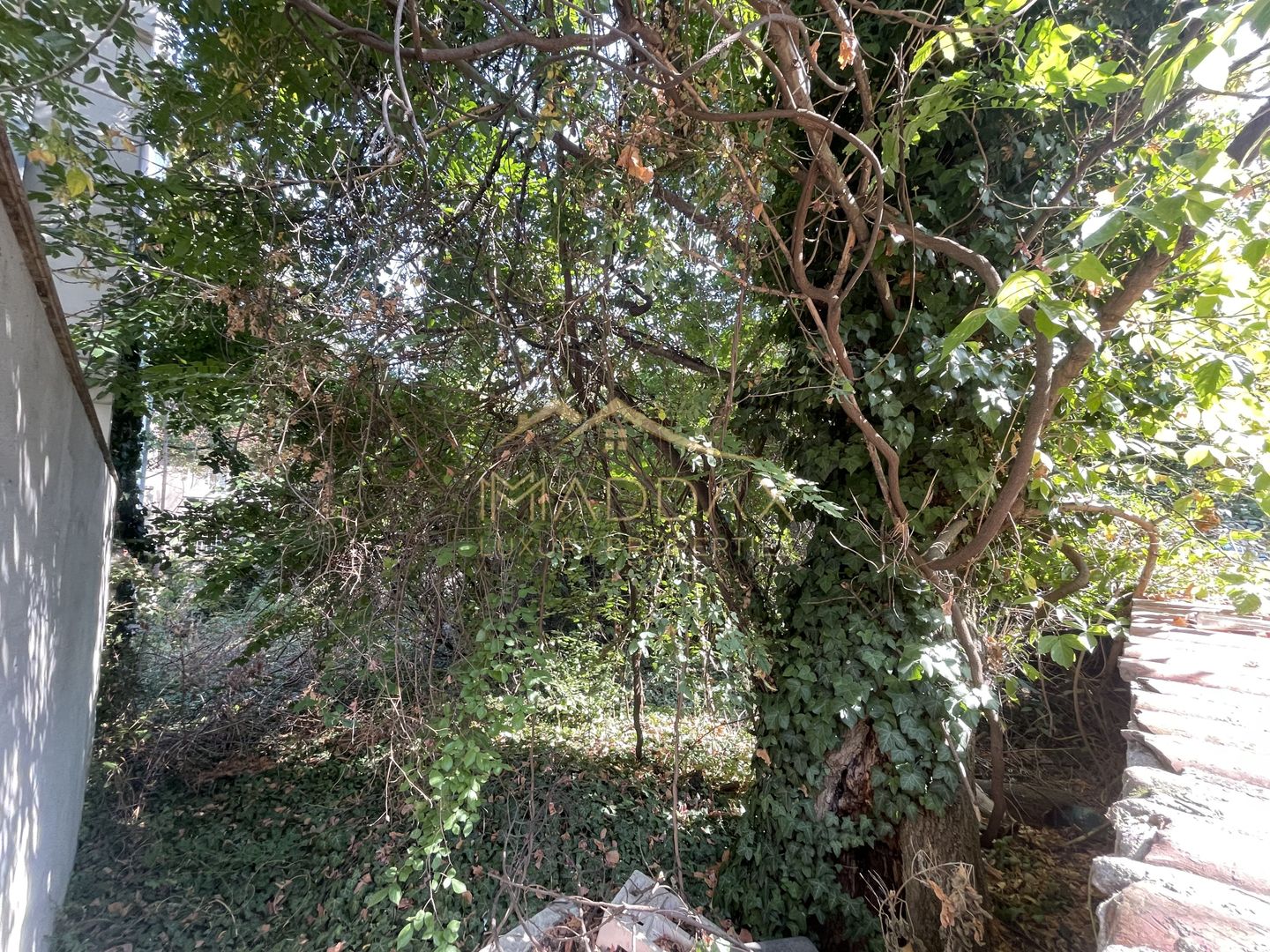 Teren Intravilan ***418mp*** posibilitate constructie S+P+2E+3ER // Floreasca - Poză 5