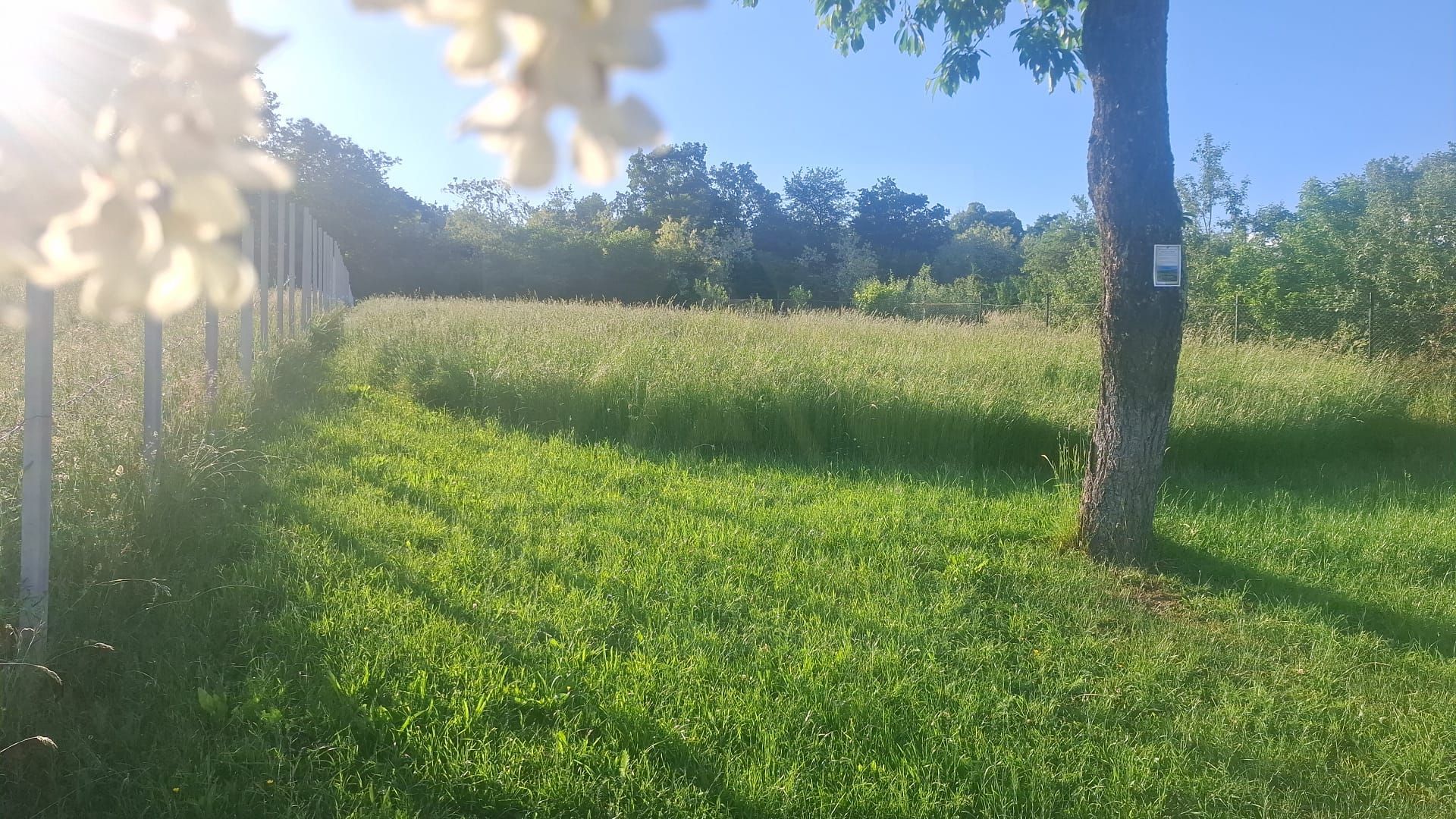 Teren intravilan 809 mp cu deschidere 14 m în Tropinii Noi - Poză 18