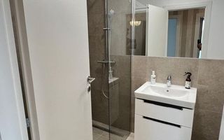 Apartament 4 Camere Jandarmeriei The Ivy Residence - Poză 15