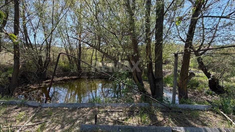 Lot Pomicol Truseni I.P. Alfa-Agro - Poză 6