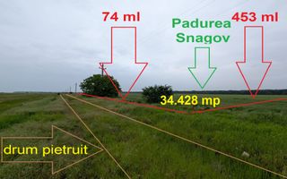 Vanzare Teren - intravilan - Snagov Ghermanesti - Poză 3