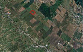 Teren agricol 13,5 hectare | Tartasesti | Ciocanesti | DB - Poză 1