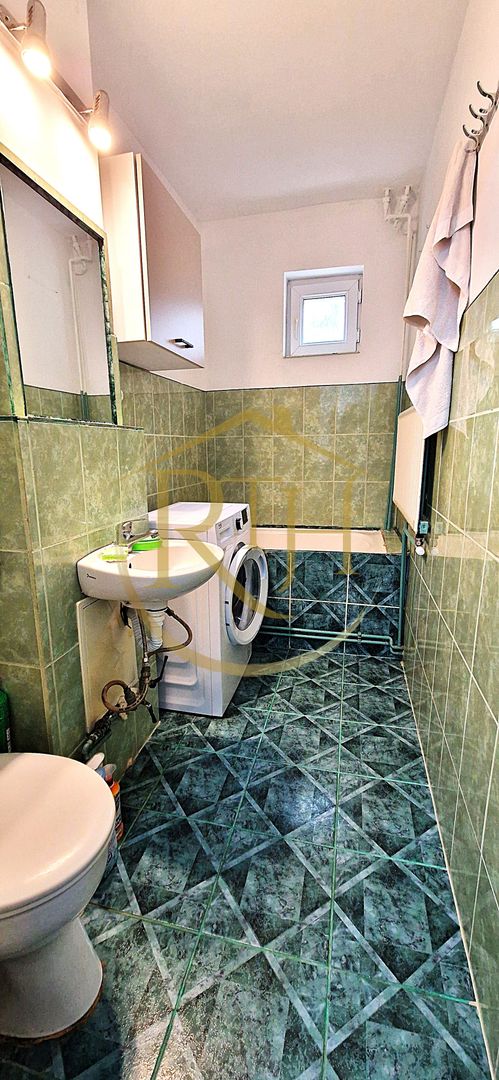 Apartament cu 2 camere de închiriat pet Friendly  Calea Sagului– 320 euro/luna - Poză 18