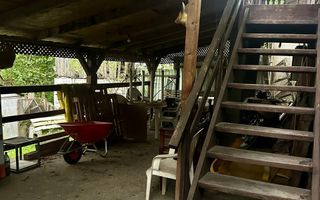 Casa Sanmartin la Bulevardul Felix - Poză 16