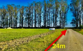 Teren de vanzare Silistea Snagovului | 10.000 mp | Oportunitate invest - Poză 5