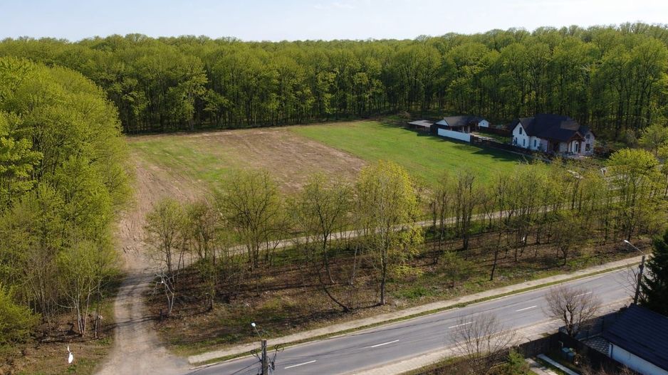 EXCLUSIVITATE-PROIECT UNIC PADUREA SNAGOV! Loturi 400-600 m2 ,PUZ - Poză 6