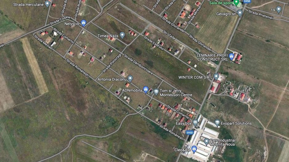 TEREN MOSNITA NOUA SPRE URSENI 752 MP - Poză 2