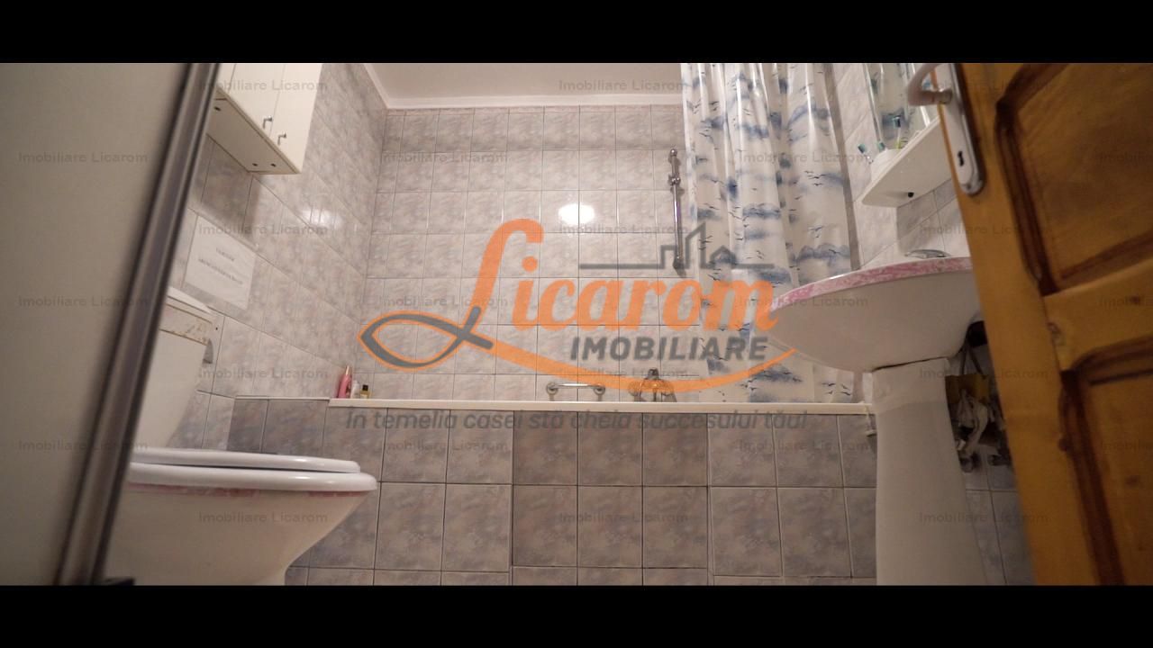 Oferta Conac boieresc P+M,teren 20400 mp - Poză 16