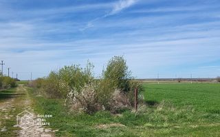 Teren extravilan, 22.5 ha, comuna Maureni - Poză 7