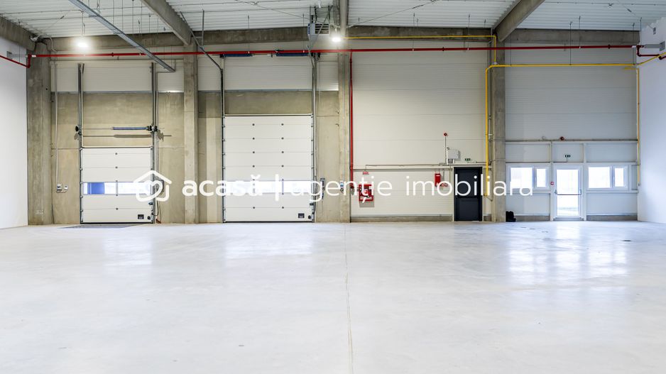 4646 mp - Hala industriala de inchiriat in Parc Industrial Arad - Poză 19