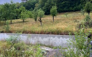 Proprietate cu potențial, într-un cadru natural de vis – 3581 mp teren - Poză 2