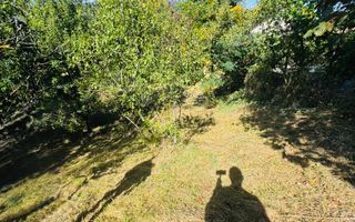 TEREN INTRAVILAN 3234 MP LEREȘTI VOINEȘTI ARGEȘ - Poză 38