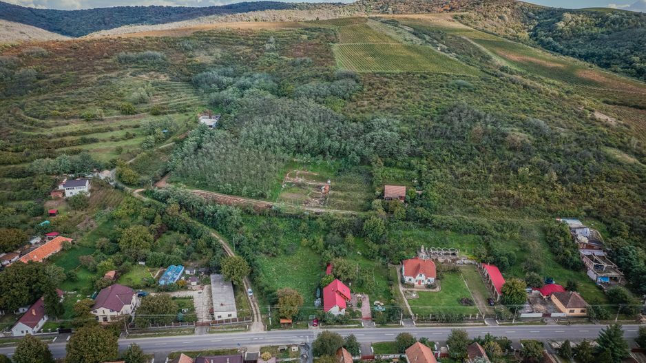 Teren de 1150 mp în Miniș - Poză 4