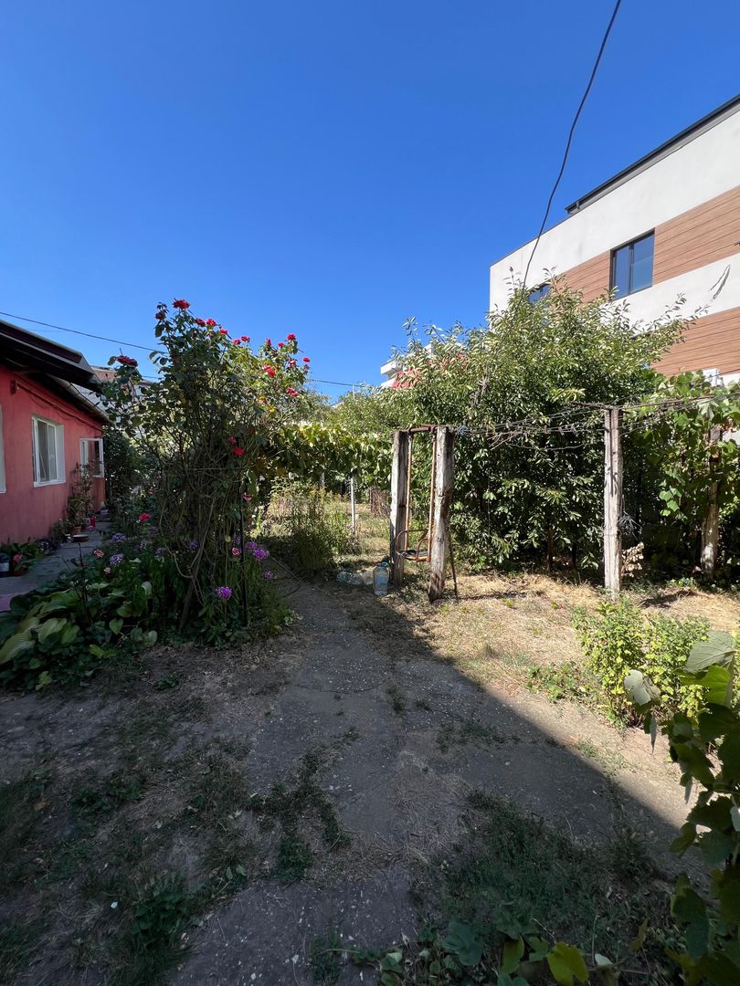 Teren str Renasterii Chitila - Poză 5